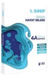 1.Sınıf Hayat Bilgisi Eğitimin 4 Aşaması