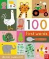 100 First Words: With BIG flaps to lift! (Ciltli)