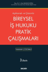 Bireysel İş Hukuku Pratik Çalışmaları