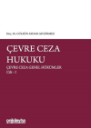 Çevre Ceza Hukuku - Çevre Ceza Genel Hükümler Cilt 1