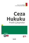 Ceza Hukuku Pratik Çalışmalar