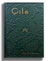 Çile - Yeşil Kapak (Ciltli)