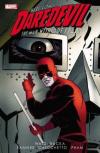 Daredevil Vol. 3