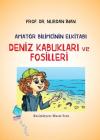 Deniz Kabukları ve Fosilleri - Amatör Bilimcinin Elkitabı