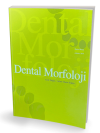 Dental Morfoloji