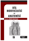 Diş Morfolojisi ve Anatomisi