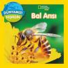 Dünyamızı Keşfedin-Bal Arısı