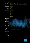 Ekonometrik Teori