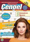 Fenomen Çengel Bulmaca 29