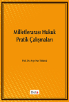 Milletlerarası Hukuk Pratik Çalışmaları
