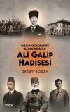 Milli Mücadele'ye Darbe Girişimi - Ali Galip Hadisesi