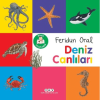 Minik Kitaplarım – Deniz Canlıları