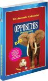 Opposites (Antonyms)