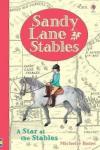 Sandy Lane Stables A Star at the Stables (Young Reading) (Young Reading Series 4) (Ciltli)