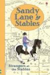 Sandy Lane Stables Strangers at the Stables (Young Reading) (Young Reading Plus) (Ciltli)