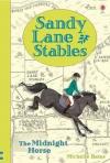 Sandy Lane Stables - The Midnight Horse (Young Reading) (Young Reading Plus) (Ciltli)