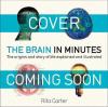 The Brain in Minutes