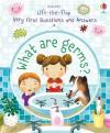What are Germs?: 1 (Lift-the-flap Very First Questions and Answers) (Ciltli)