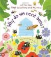 Why Do We Need Bees? (Lift-the-Flap First Questions and Answers) (Ciltli)