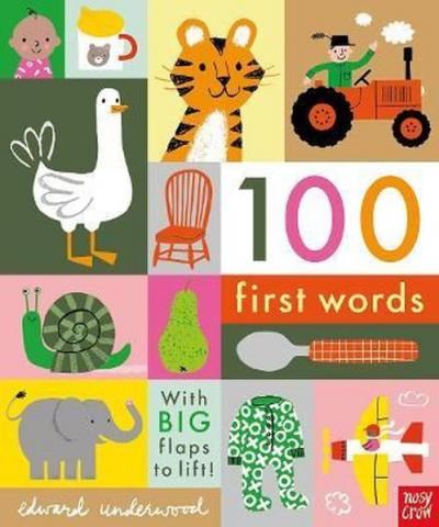 100 First Words: With BIG flaps to lift! (Ciltli)