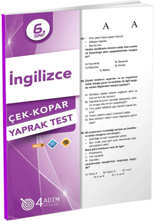 6. Sınıf İngilizce Çek Kopar Yaprak Test