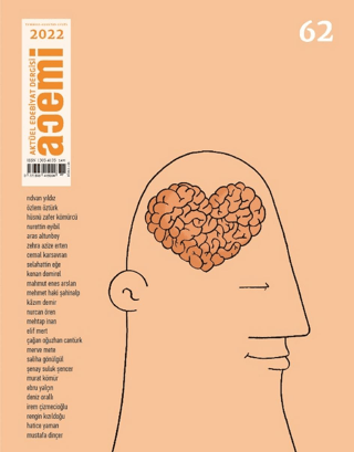 Acemi Aktüel Edebiyat Dergisi Sayı: 62 Temmuz-Ağustos-Eylül 2022 Sayısı