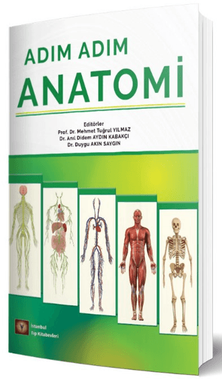 Adım Adım Anatomi