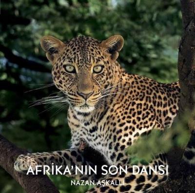 Afrika'nın Son Dansı (Ciltli)