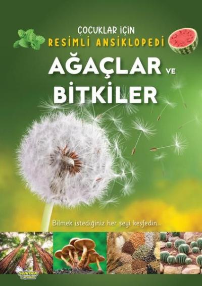 Ağaçlar ve Bitkiler - Çocuklar İçin Resimli Ansiklopedi Kolektif