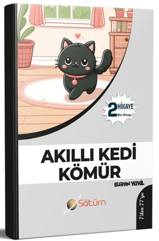 Akıllı Kedi Kömür