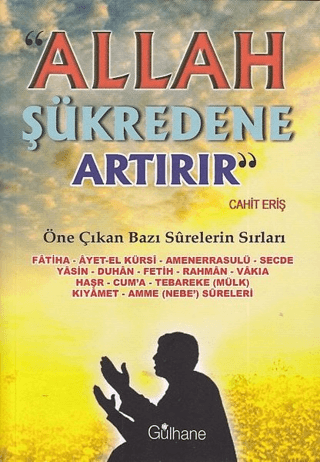 Allah Şükredene Artırır