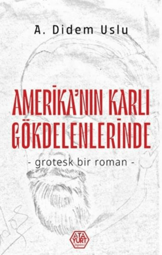 Amerika'nın Karlı Gökdelenlerinde