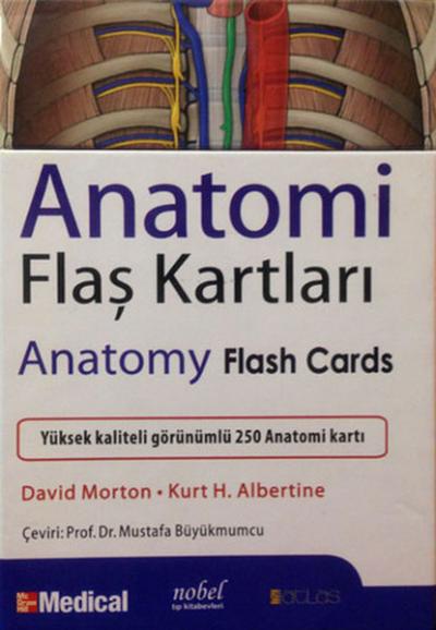 Anatomi Flaş Kartları David Morton