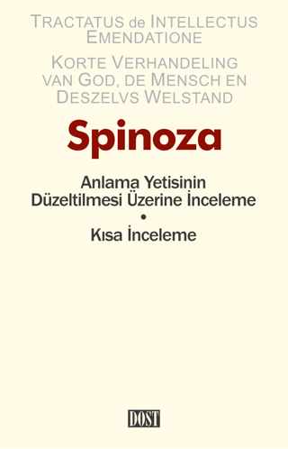 Anlama Yetisinin Düzeltilmesi Üzerine İnceleme