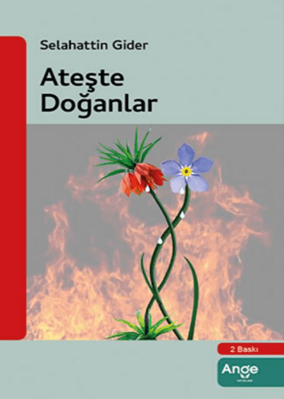 Ateşle Doğanlar Selahattin Gider