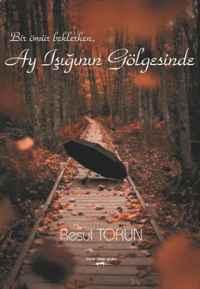 Ay Işığının Gölgesinde