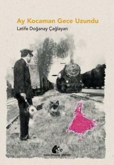 Ay Kocaman Gece Uzundu