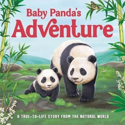 Baby Panda's Adventure (Ciltli)