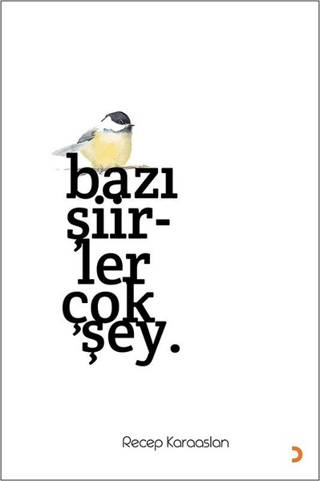 Bazı Şiirler Çok Şey.