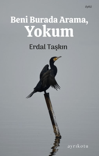 Beni Buradan Arama, Yokum