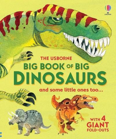 Big Book of Big Dinosaurs (Ciltli)