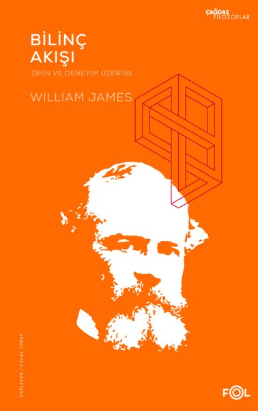 Bilinç Akışı – Zihin ve Deneyim Üzerine William James