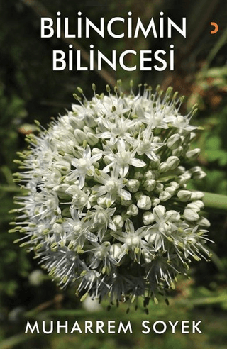Bilincimin Bilincesi