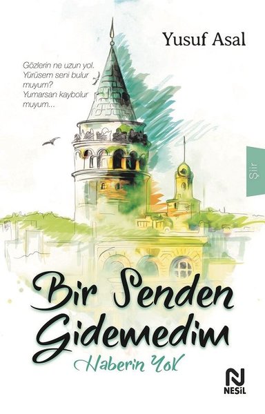 Bir Senden Gidemedim Haberin Yok Yusuf Asal