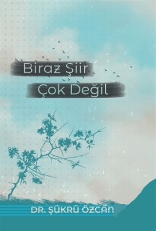 Biraz Şiir Çok Değil