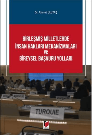 Birleşmiş Milletlerde İnsan Hakları Mekanizmaları ve Bireysel Başvuru Yolları