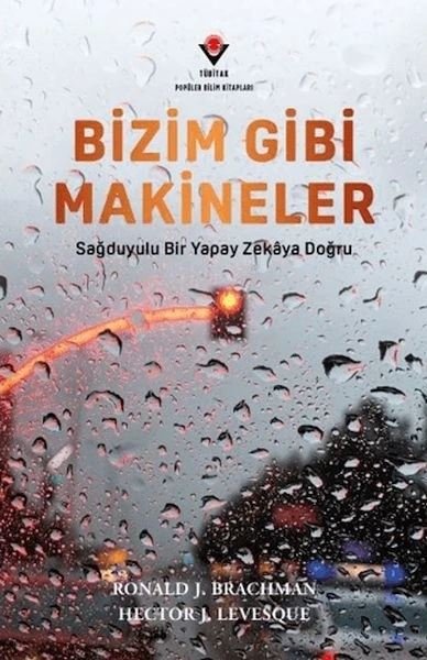 Bizim Gibi Makineler - Sağduyulu Bir Yapay Zekaya Doğru