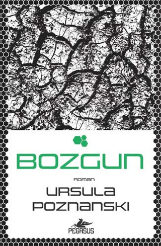 Bozgun