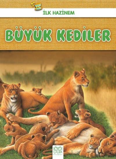 Büyük Kediler-İlk Hazinem
