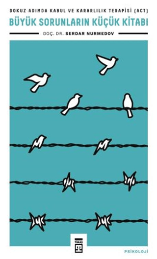 Büyük Sorunların Küçük Kitabı